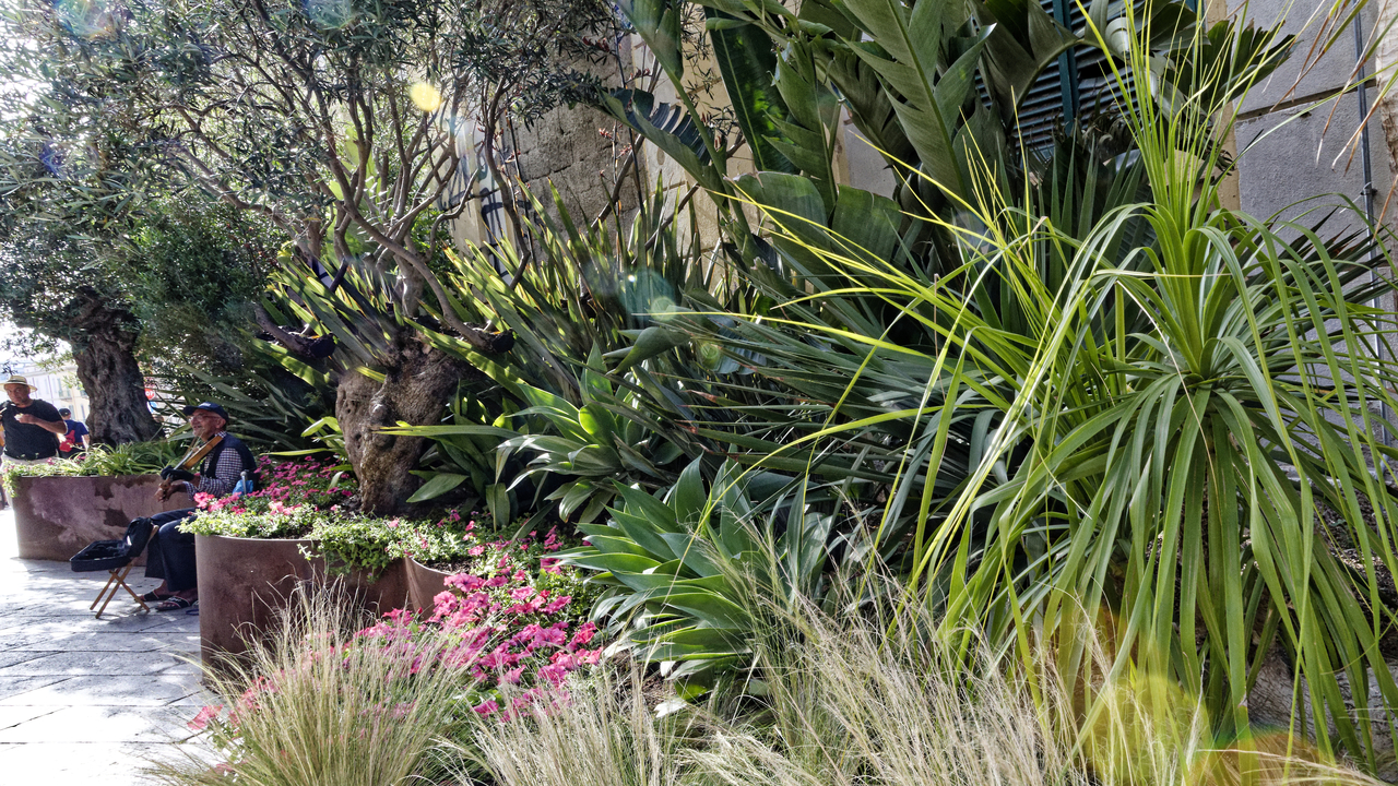 20230525 175646•Olbia•Sardinia•Italy